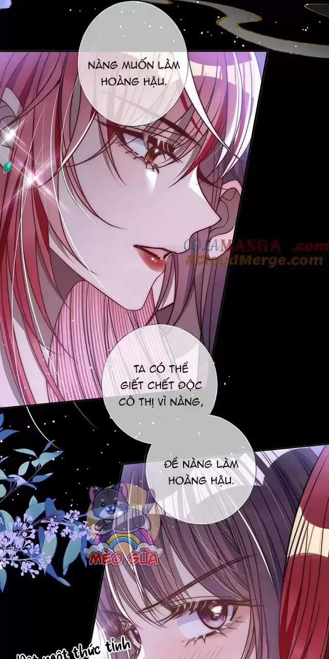 Nuông Chiều Mỹ Nhân Cuồng Nhiệt Chapter 13 - 6