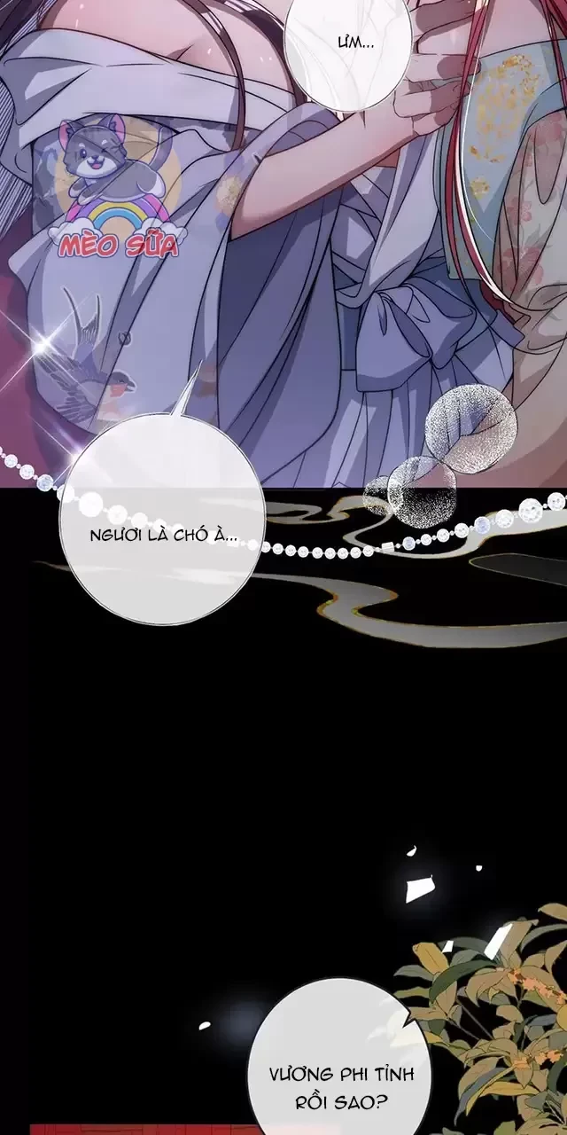 Nuông Chiều Mỹ Nhân Cuồng Nhiệt Chapter 13 - 12