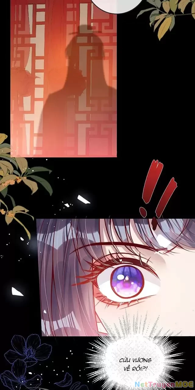 Nuông Chiều Mỹ Nhân Cuồng Nhiệt Chapter 13 - 13