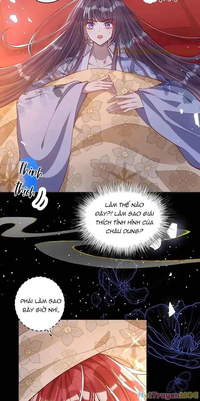 Nuông Chiều Mỹ Nhân Cuồng Nhiệt Chapter 13 - 15