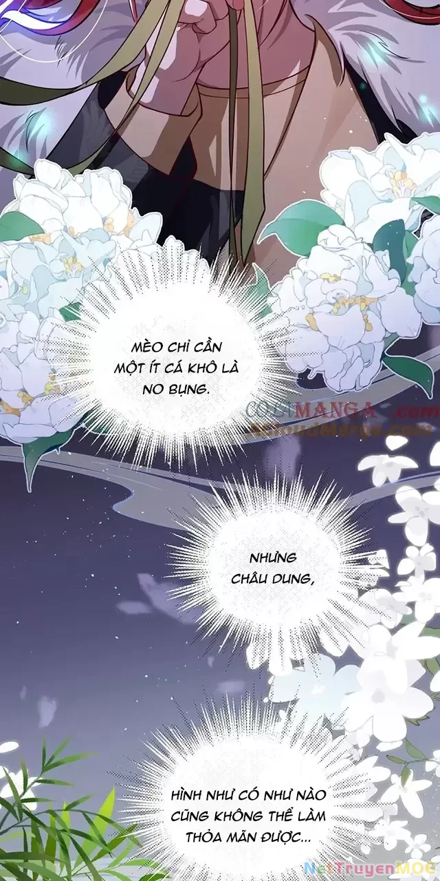 Nuông Chiều Mỹ Nhân Cuồng Nhiệt Chapter 19 - 18