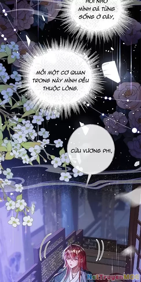 Nuông Chiều Mỹ Nhân Cuồng Nhiệt Chapter 24 - 26