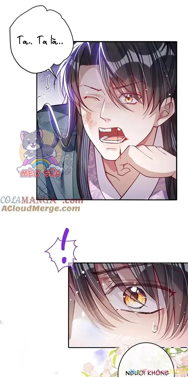 Nuông Chiều Mỹ Nhân Cuồng Nhiệt Chapter 24 - 41
