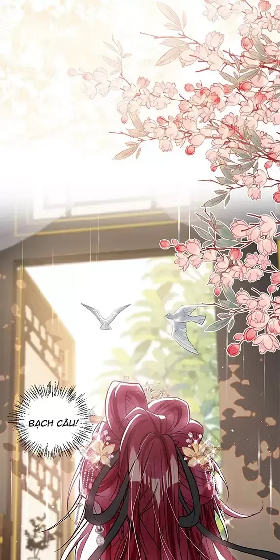 Nuông Chiều Mỹ Nhân Cuồng Nhiệt Chapter 26 - 5