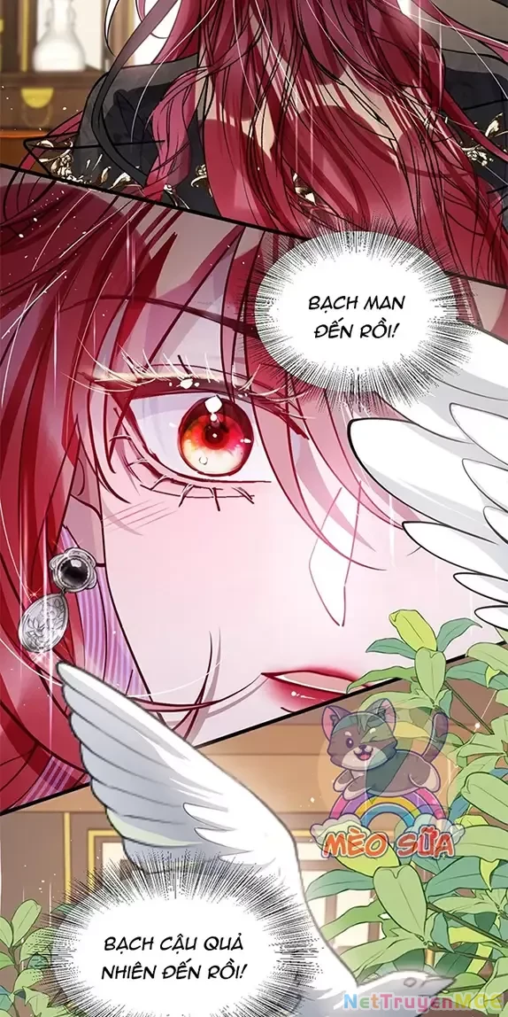 Nuông Chiều Mỹ Nhân Cuồng Nhiệt Chapter 26 - 6