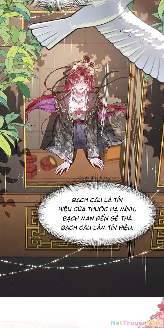 Nuông Chiều Mỹ Nhân Cuồng Nhiệt Chapter 26 - 7