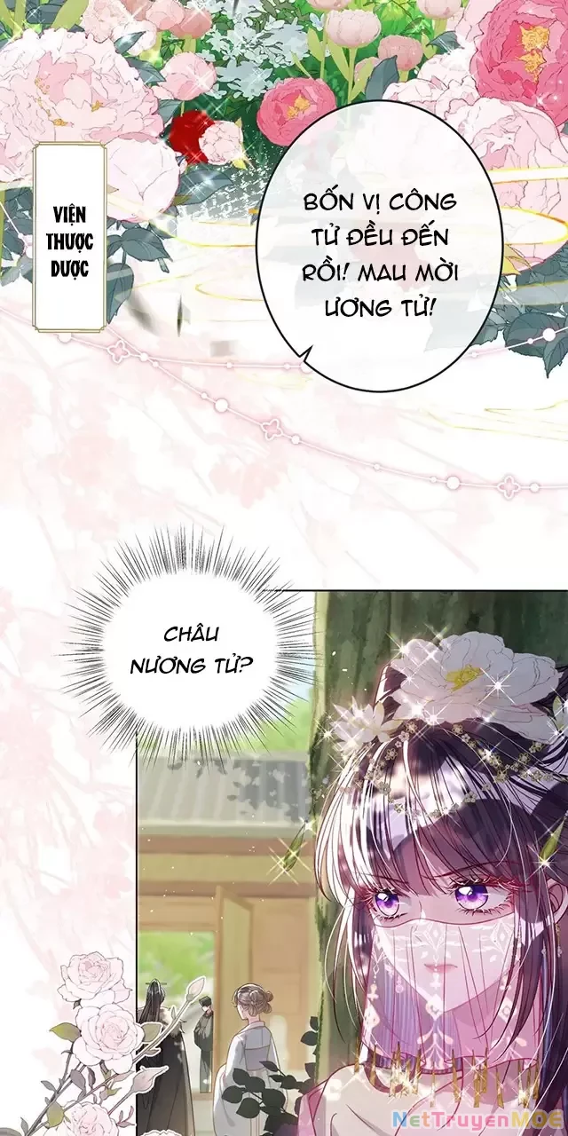 Nuông Chiều Mỹ Nhân Cuồng Nhiệt Chapter 26 - 13