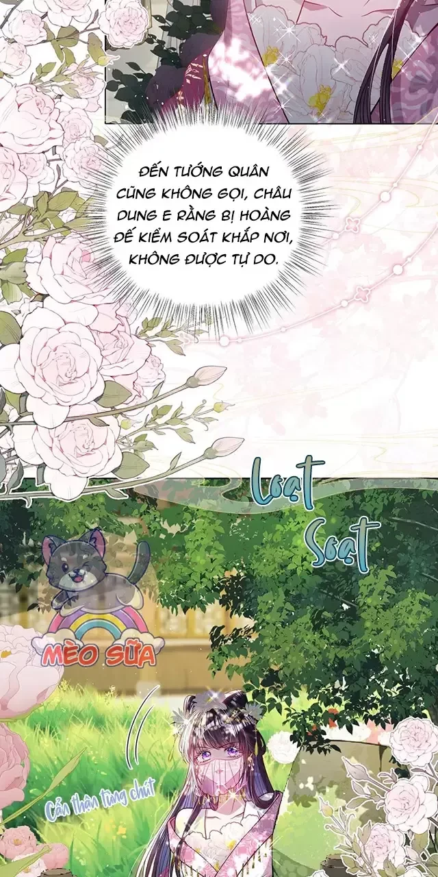 Nuông Chiều Mỹ Nhân Cuồng Nhiệt Chapter 26 - 14