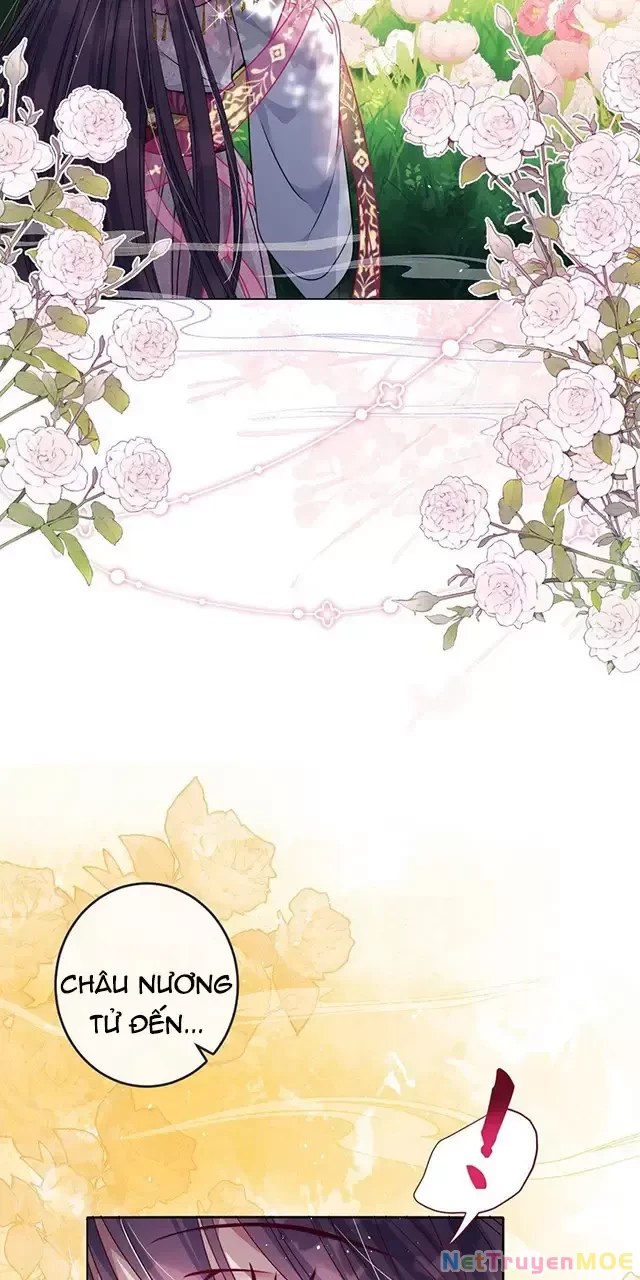 Nuông Chiều Mỹ Nhân Cuồng Nhiệt Chapter 26 - 16
