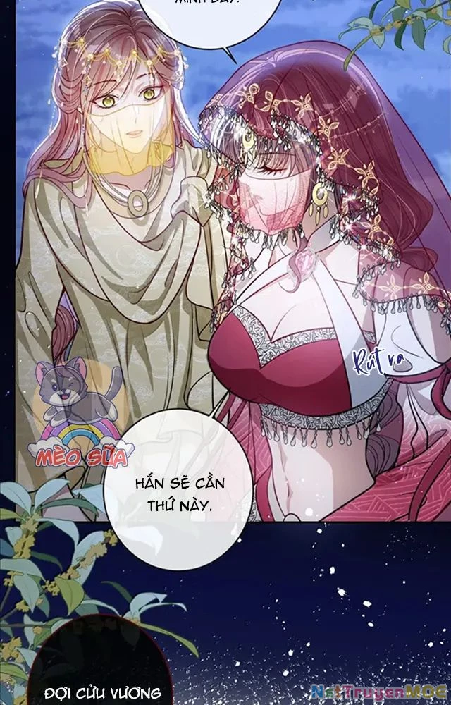 Nuông Chiều Mỹ Nhân Cuồng Nhiệt Chapter 53 - 4