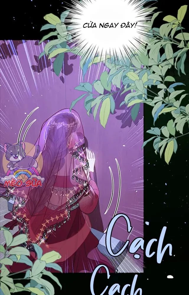 Nuông Chiều Mỹ Nhân Cuồng Nhiệt Chapter 53 - 15