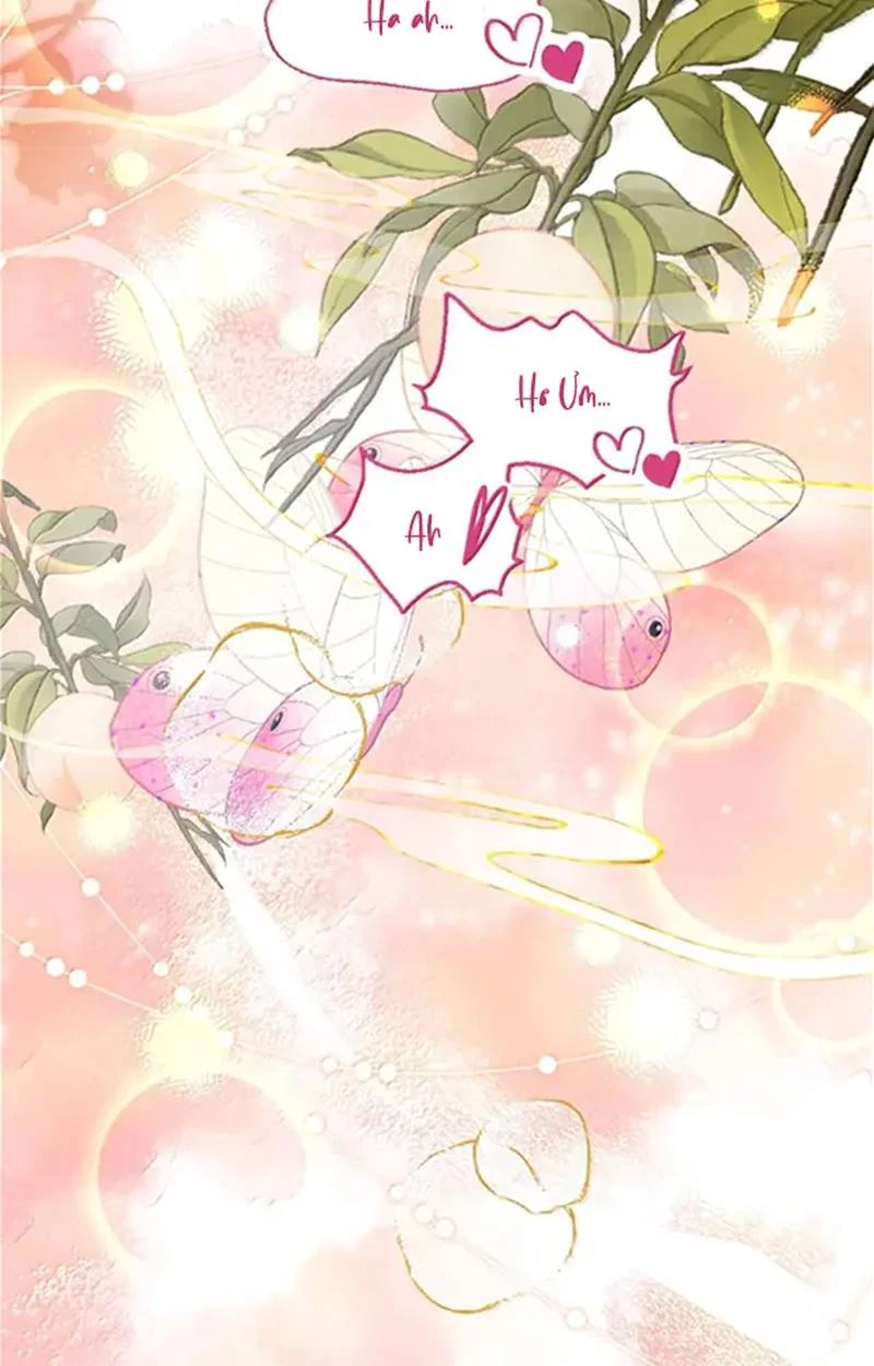 Nuông Chiều Mỹ Nhân Cuồng Nhiệt Chapter 57 - 30