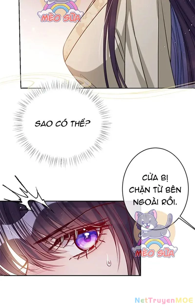 Nuông Chiều Mỹ Nhân Cuồng Nhiệt Chapter 58 - 6