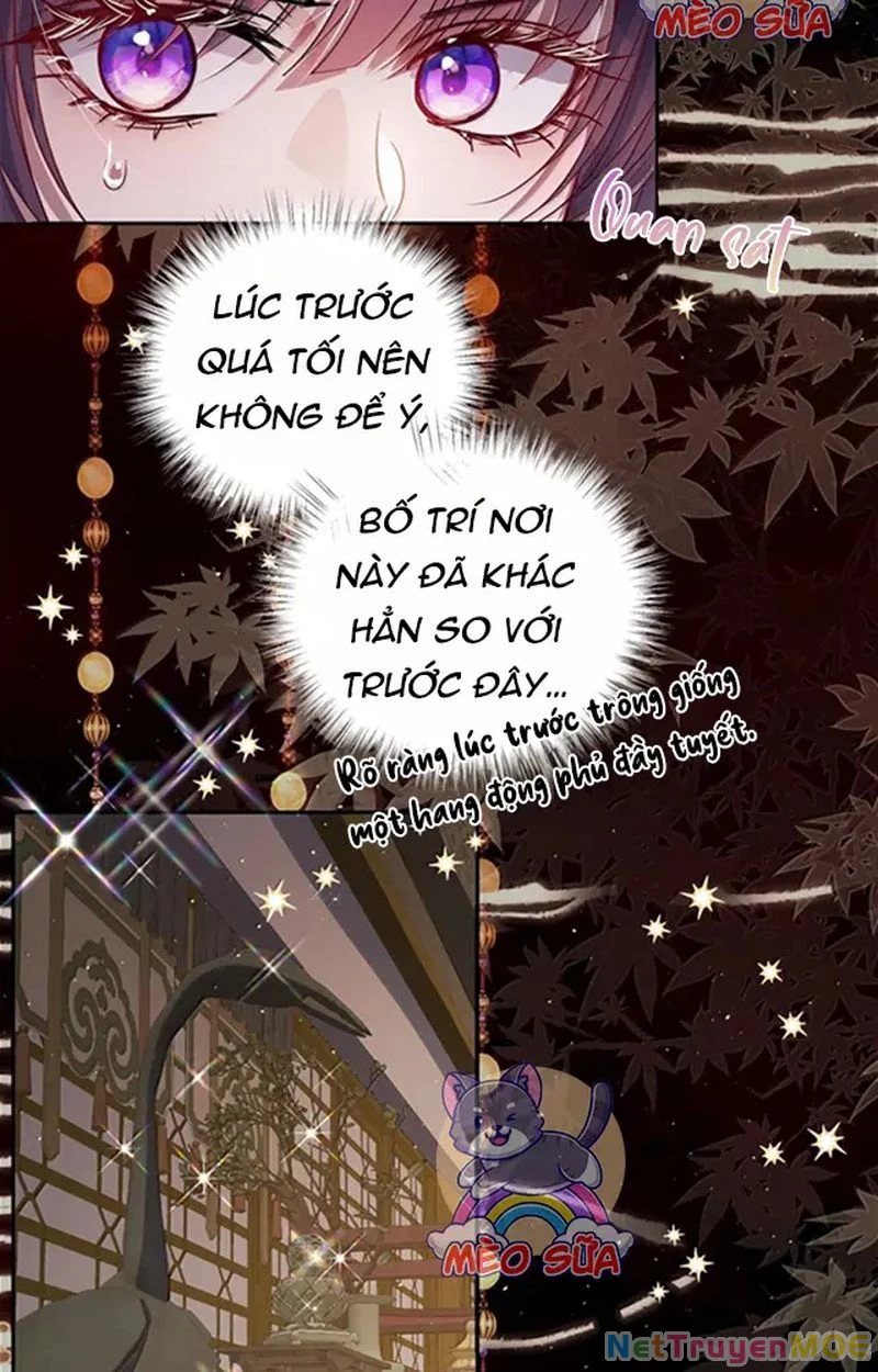 Nuông Chiều Mỹ Nhân Cuồng Nhiệt Chapter 58 - 11