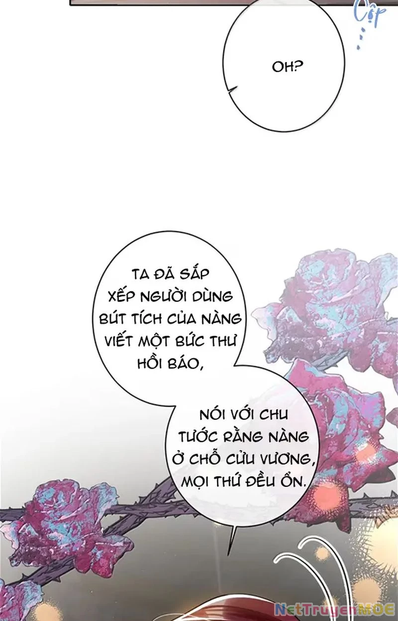 Nuông Chiều Mỹ Nhân Cuồng Nhiệt Chapter 58 - 18