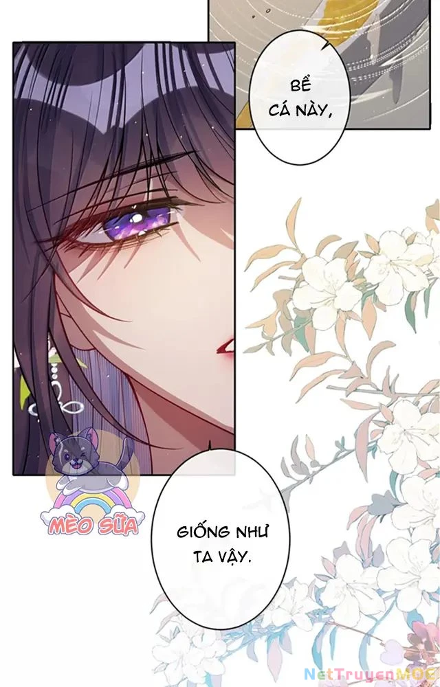 Nuông Chiều Mỹ Nhân Cuồng Nhiệt Chapter 59 - 7