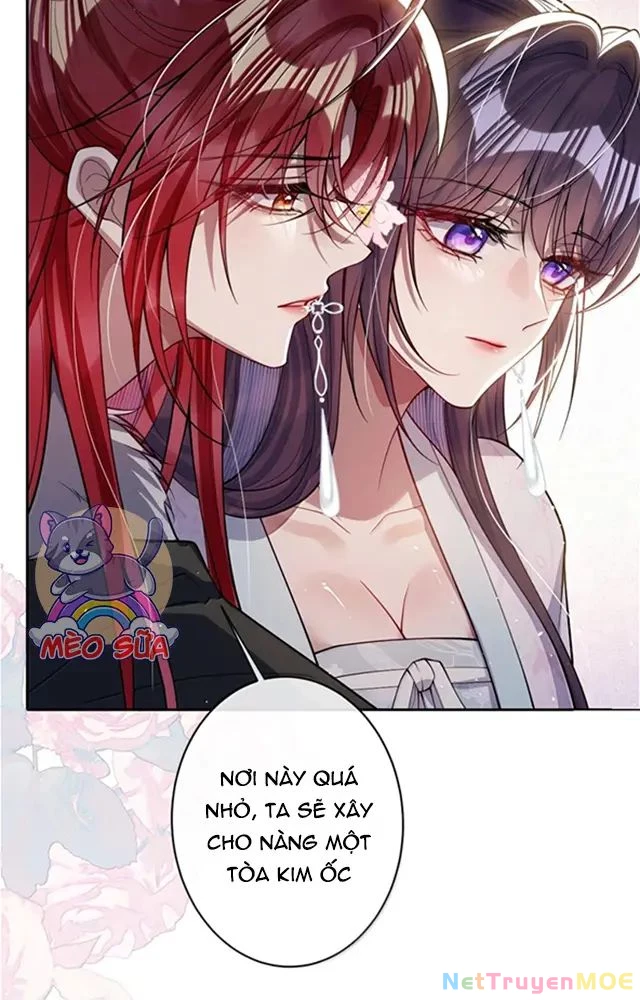 Nuông Chiều Mỹ Nhân Cuồng Nhiệt Chapter 59 - 11
