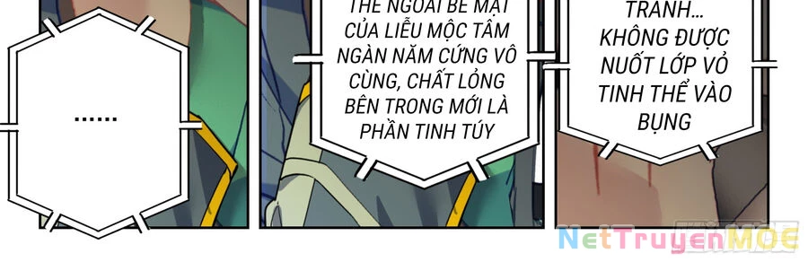 Thôn Phệ Tinh Không (Remake) Chapter 145 - 16