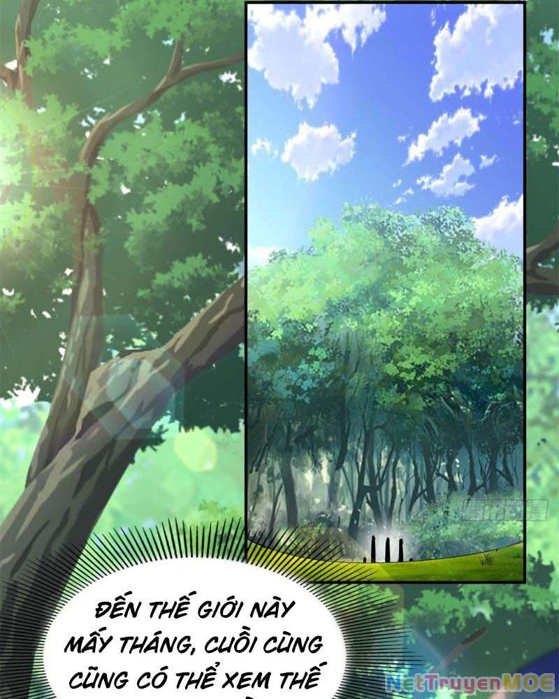 Huyễn Thú Của Ta Có Thể Tiến Hóa Vô Hạn Chapter 11 - 46