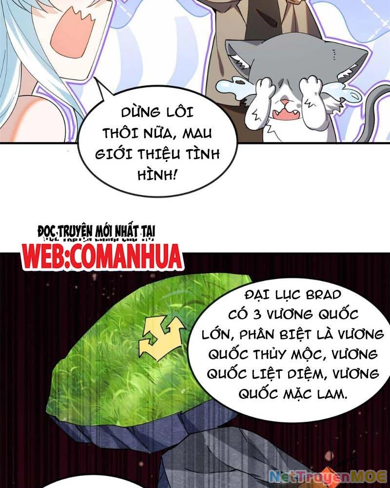Huyễn Thú Của Ta Có Thể Tiến Hóa Vô Hạn Chapter 11 - 50