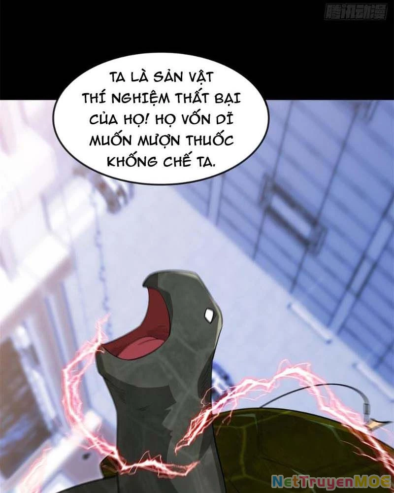 Huyễn Thú Của Ta Có Thể Tiến Hóa Vô Hạn Chapter 12 - 50