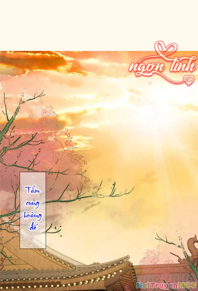 Tà Vương Phúc Hắc Sủng Nhập Cốt Chapter 195 - 29