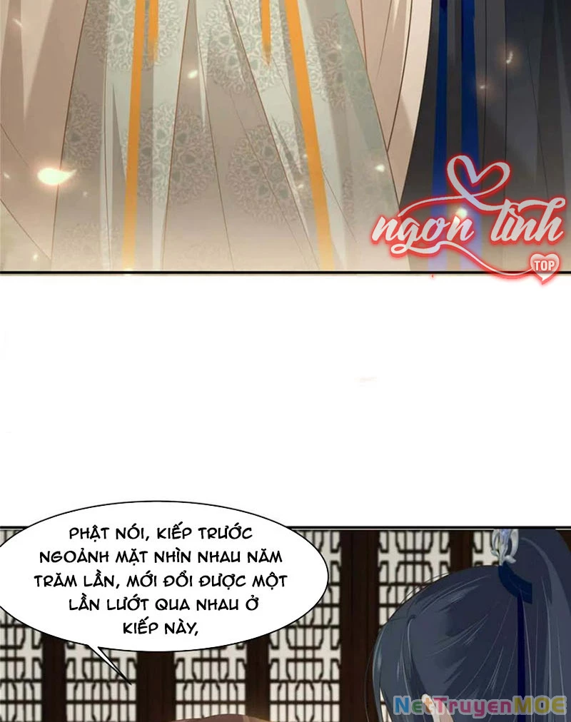 Tà Vương Phúc Hắc Sủng Nhập Cốt Chapter 200 - 10