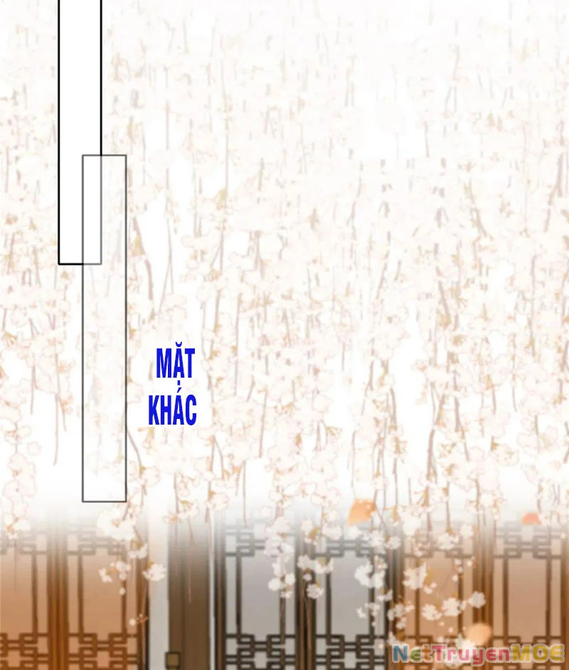 Tà Vương Phúc Hắc Sủng Nhập Cốt Chapter 204 - 24