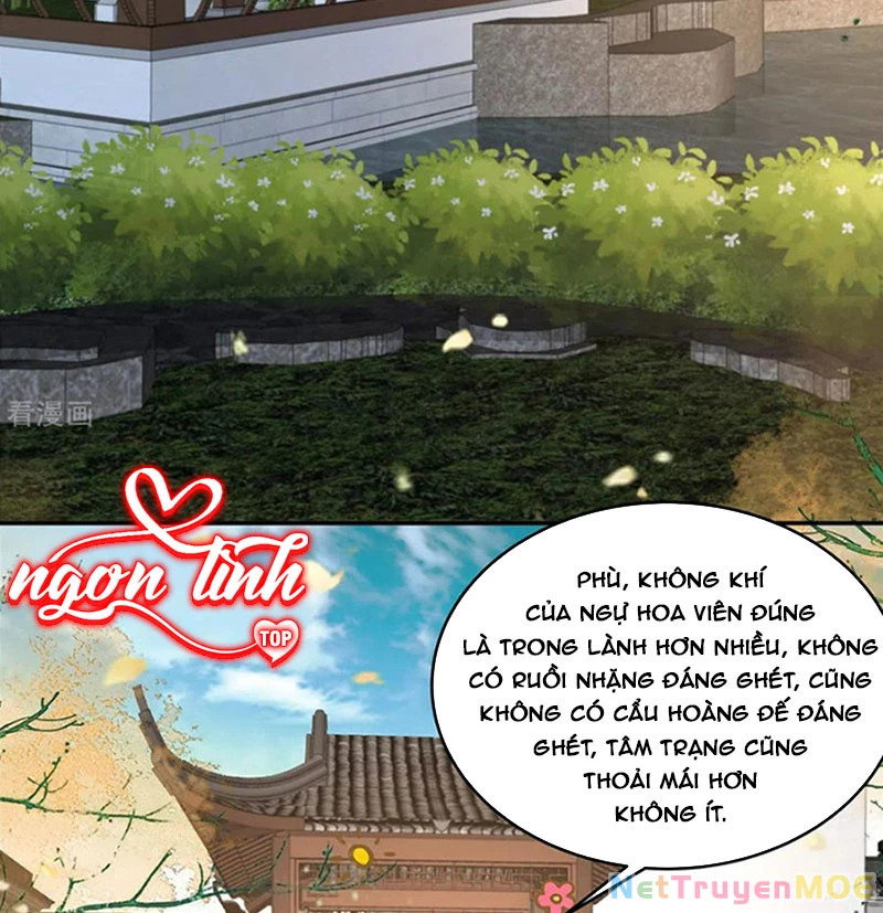 Tà Vương Phúc Hắc Sủng Nhập Cốt Chapter 238 - 8