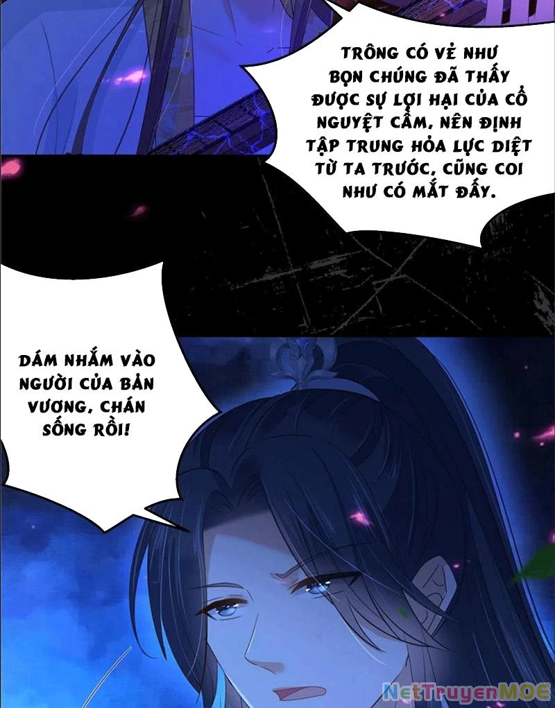 Tà Vương Phúc Hắc Sủng Nhập Cốt Chapter 252 - 5