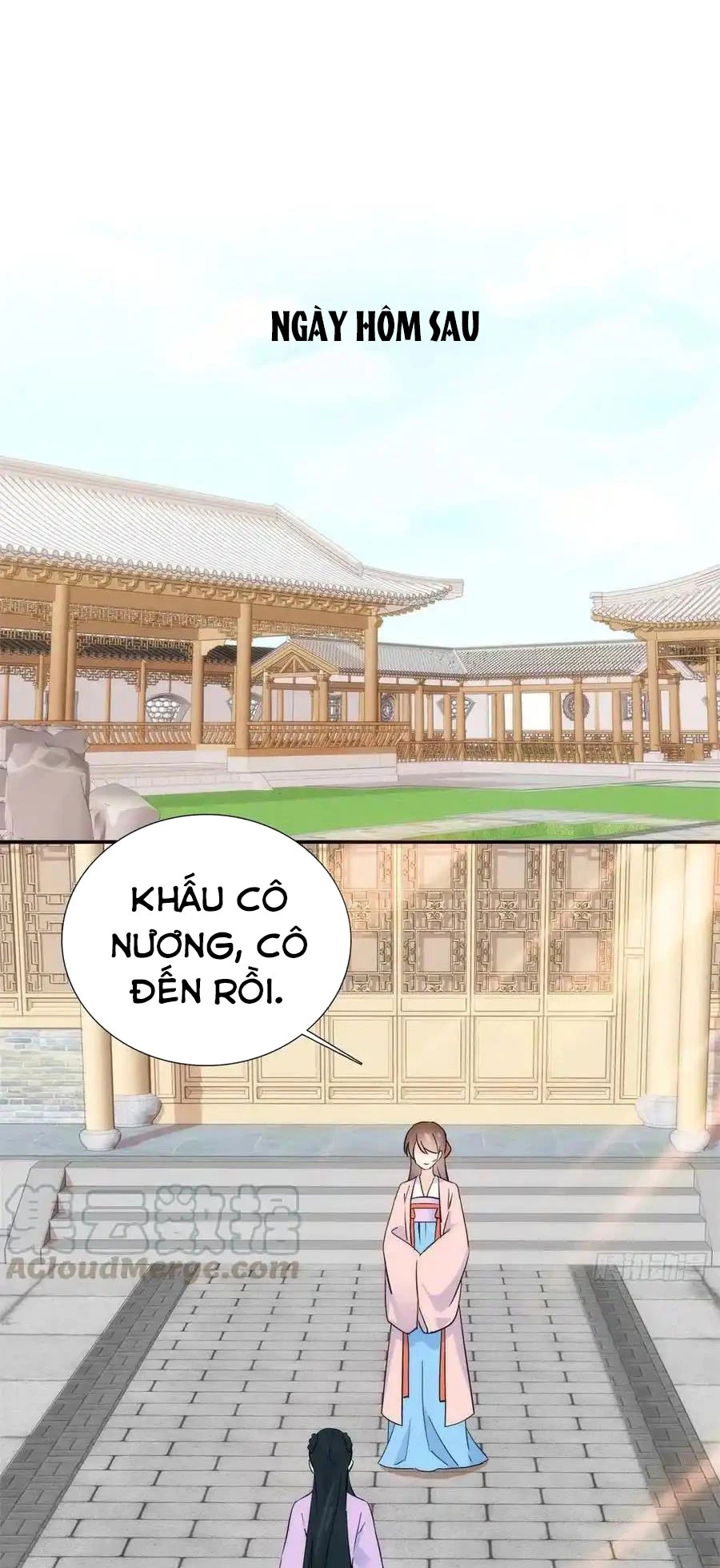 Thiều Quang Mạn Chapter 110 - 25