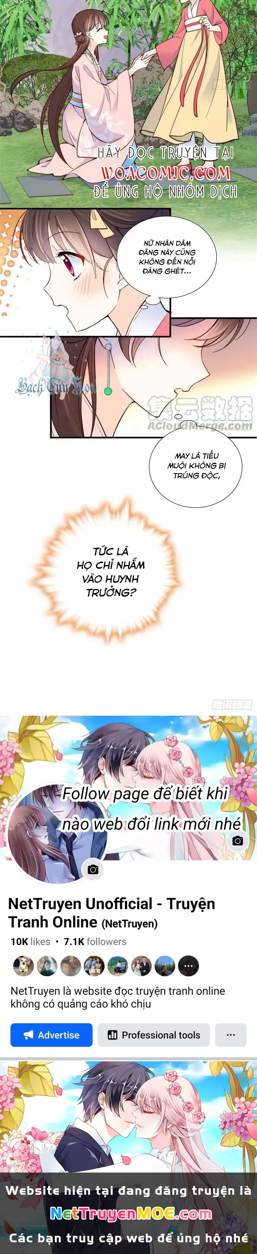 Thiều Quang Mạn Chapter 113 - 25