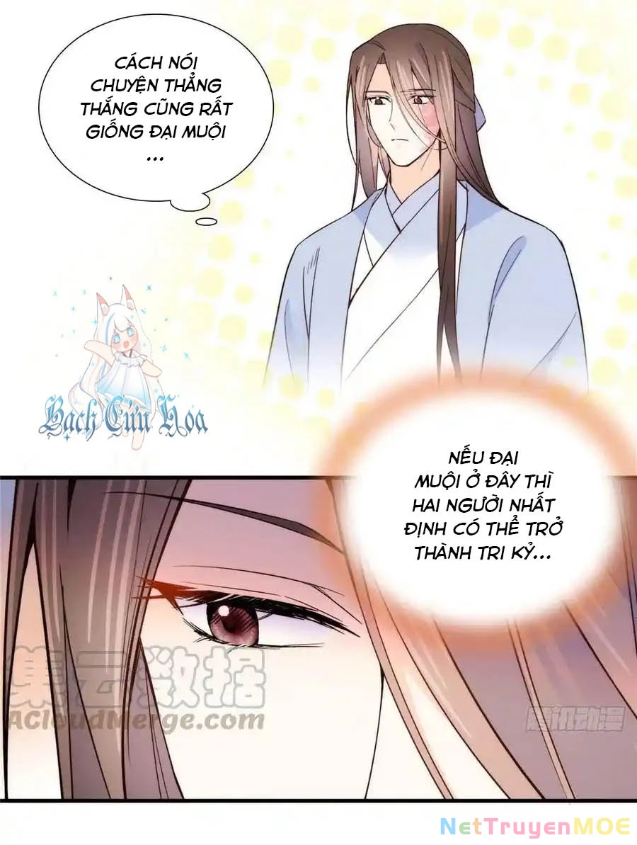 Thiều Quang Mạn Chapter 114 - 12