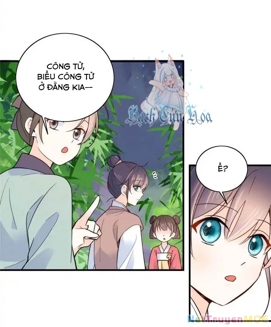 Thiều Quang Mạn Chapter 115 - 6