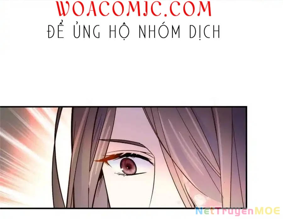 Thiều Quang Mạn Chapter 115 - 17