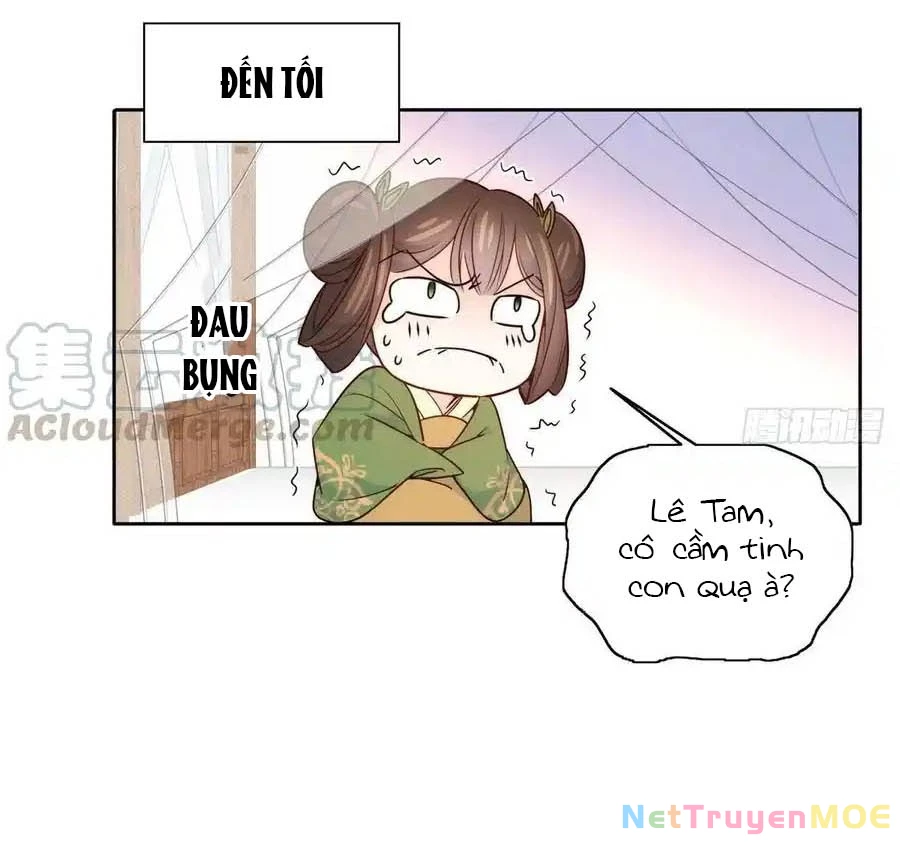 Thiều Quang Mạn Chapter 115 - 34