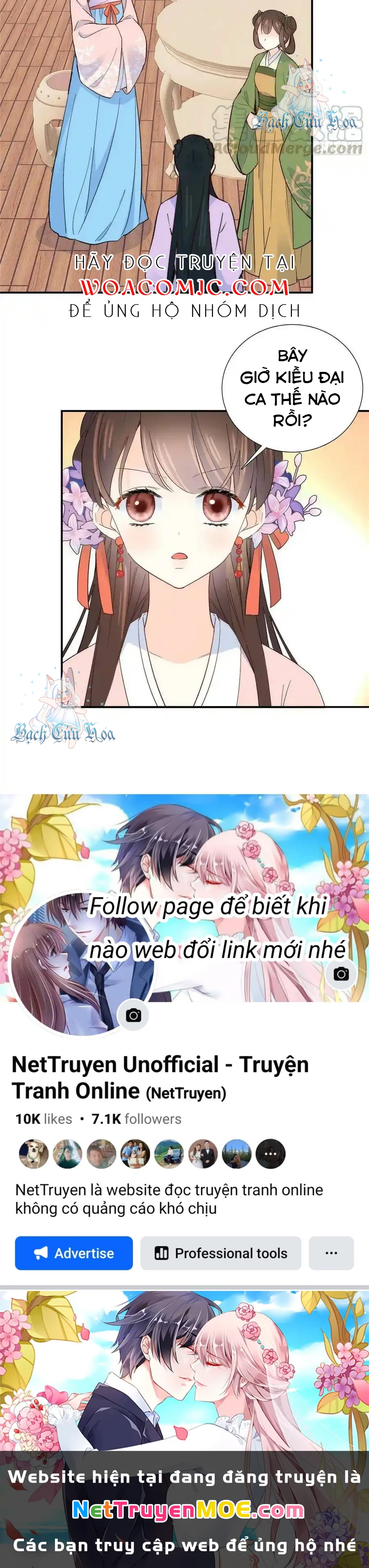 Thiều Quang Mạn Chapter 117 - 28