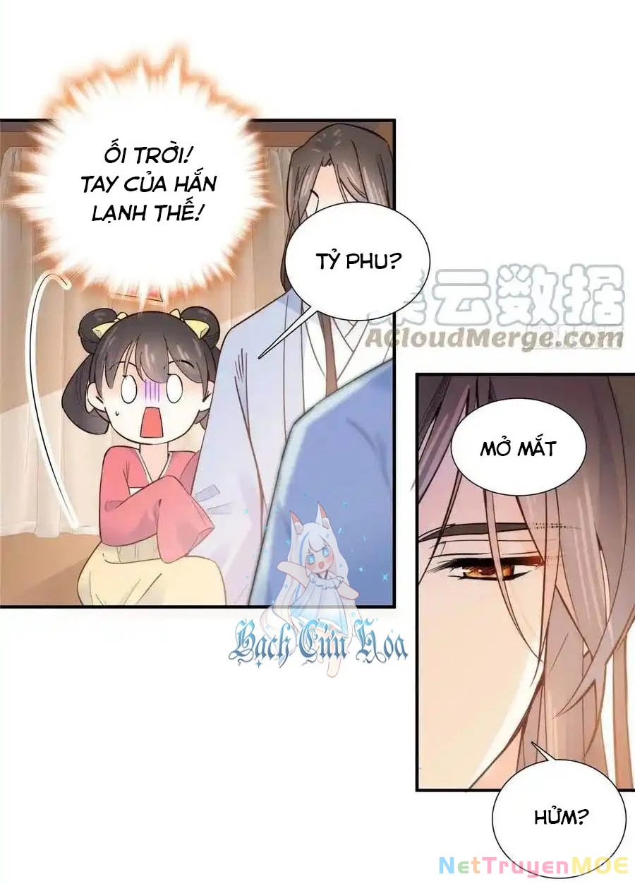 Thiều Quang Mạn Chapter 124 - 10