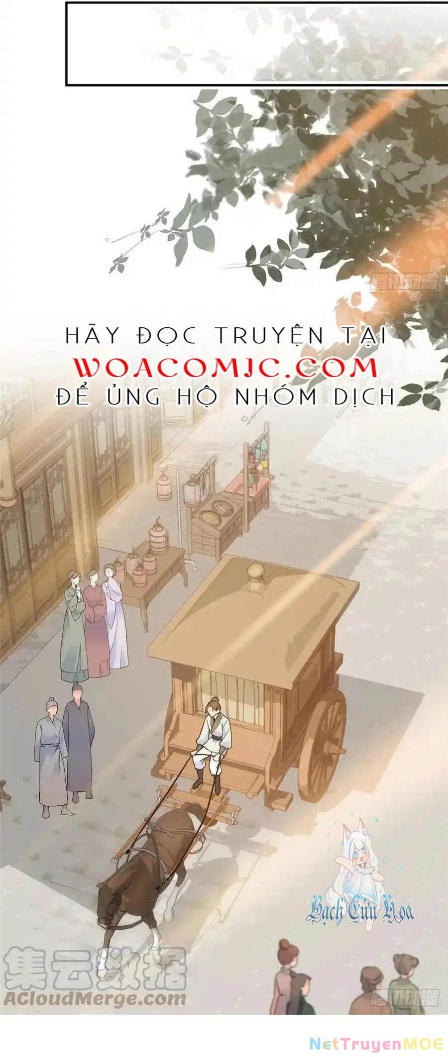 Thiều Quang Mạn Chapter 124 - 23