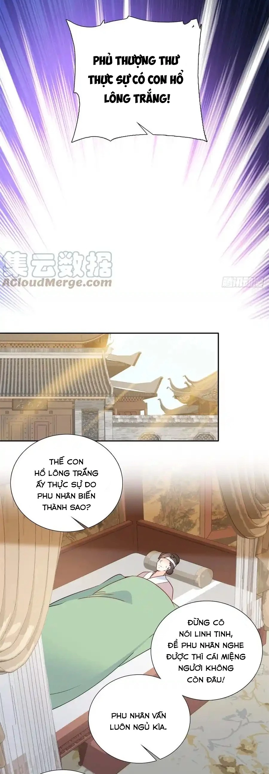 Thiều Quang Mạn Chapter 137 - 8