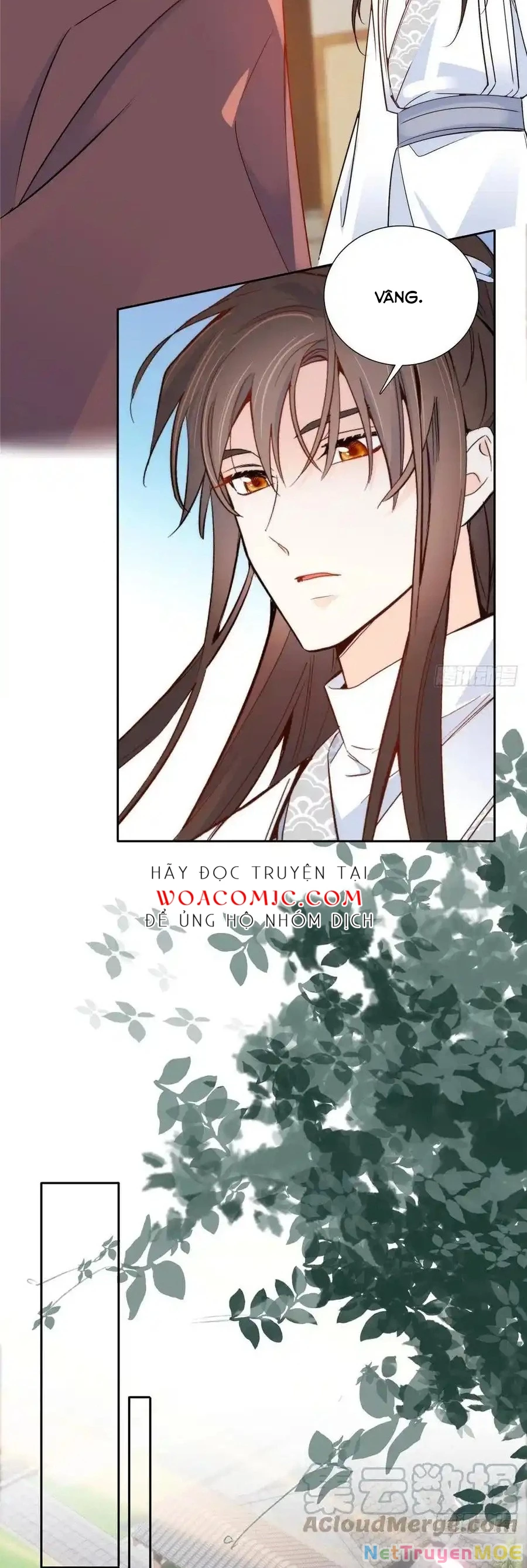 Thiều Quang Mạn Chapter 141 - 9