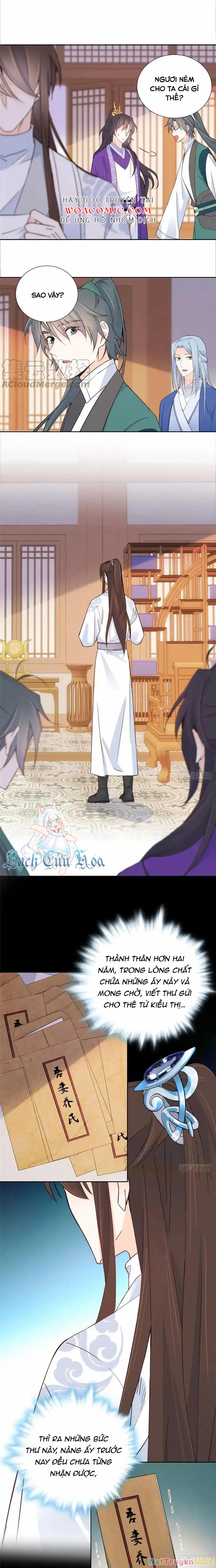 Thiều Quang Mạn Chapter 143 - 4