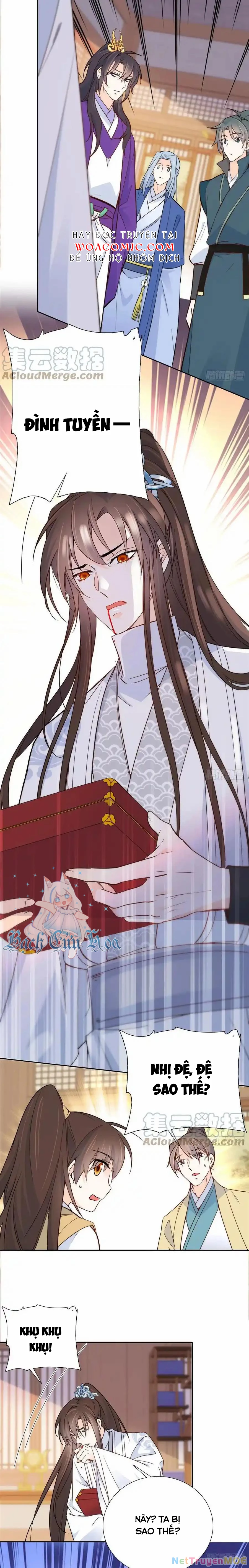 Thiều Quang Mạn Chapter 143 - 6