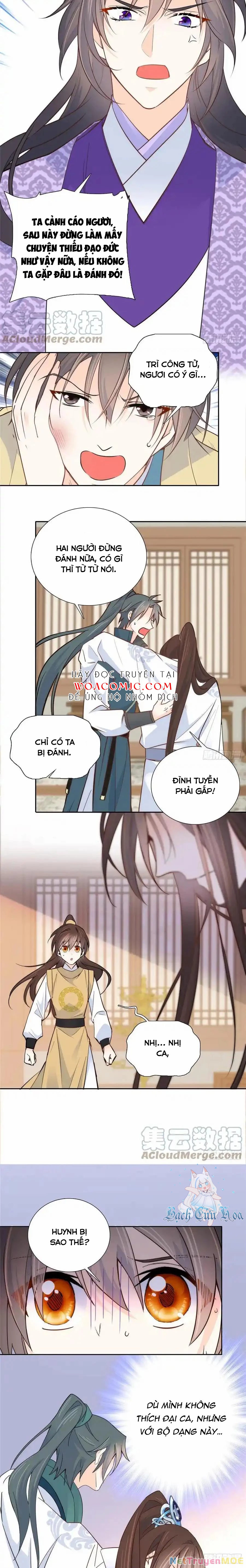 Thiều Quang Mạn Chapter 143 - 9