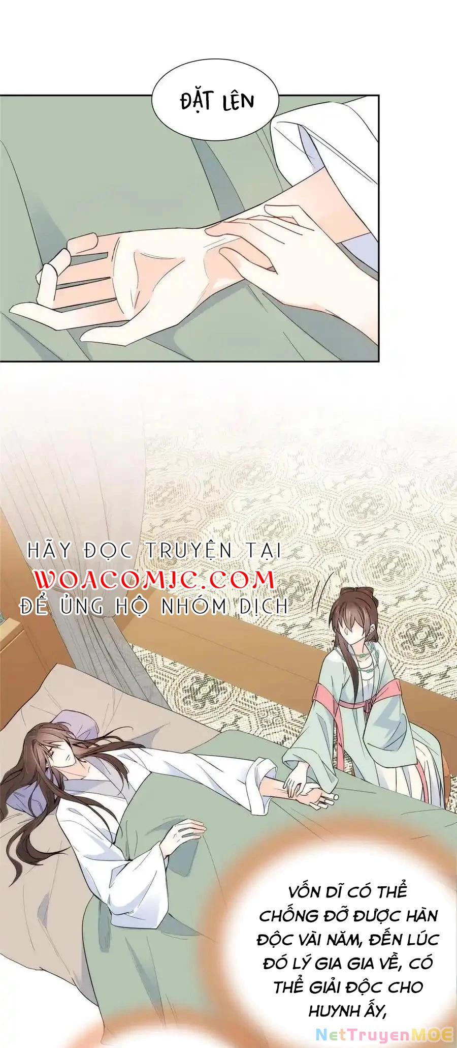 Thiều Quang Mạn Chapter 144 - 12