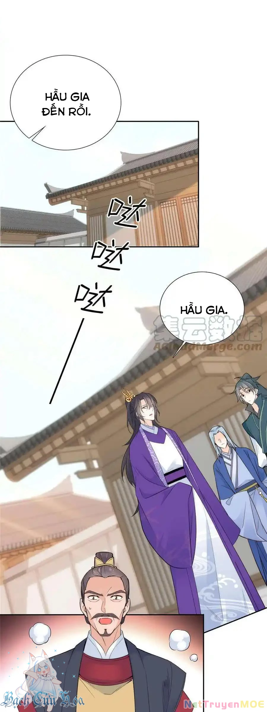 Thiều Quang Mạn Chapter 147 - 8