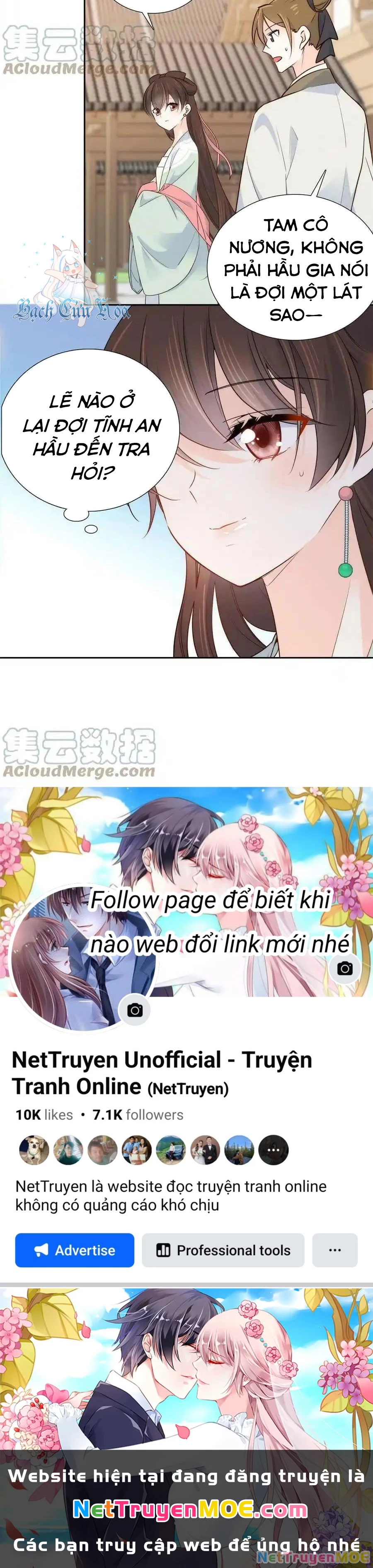 Thiều Quang Mạn Chapter 148 - 25