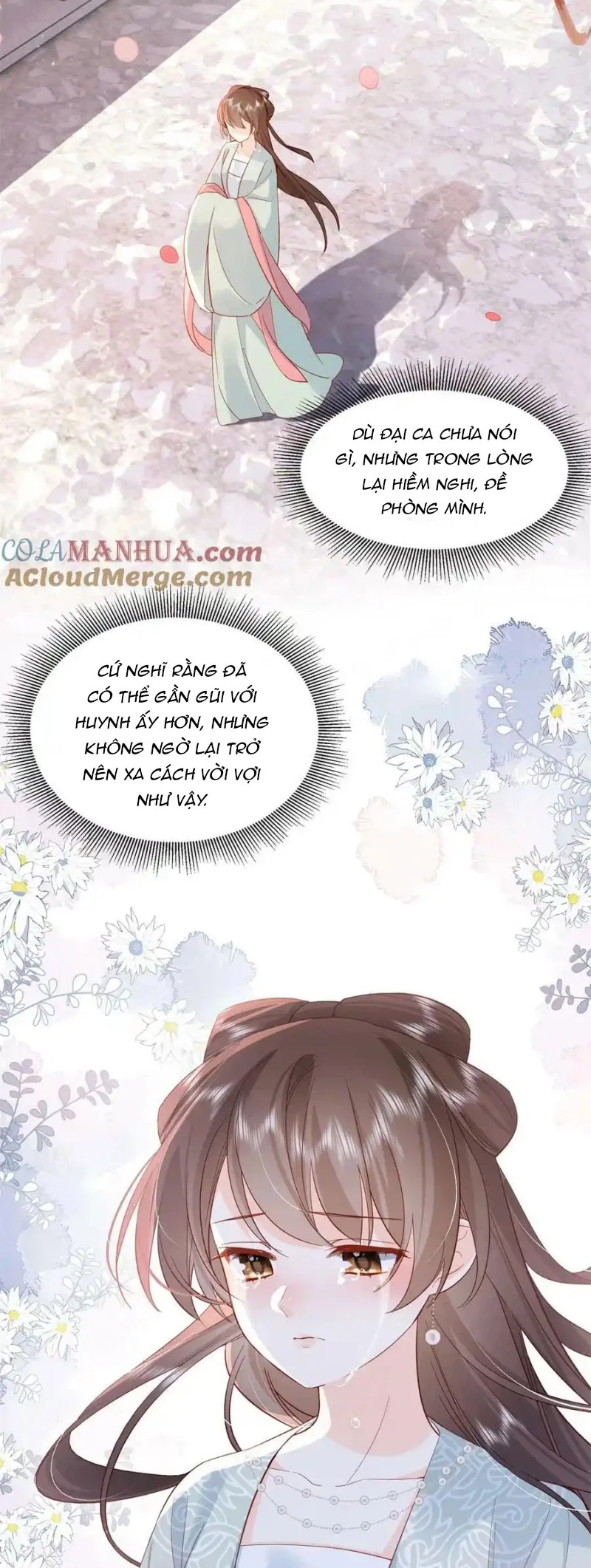 Thiều Quang Mạn Chapter 155 - 25