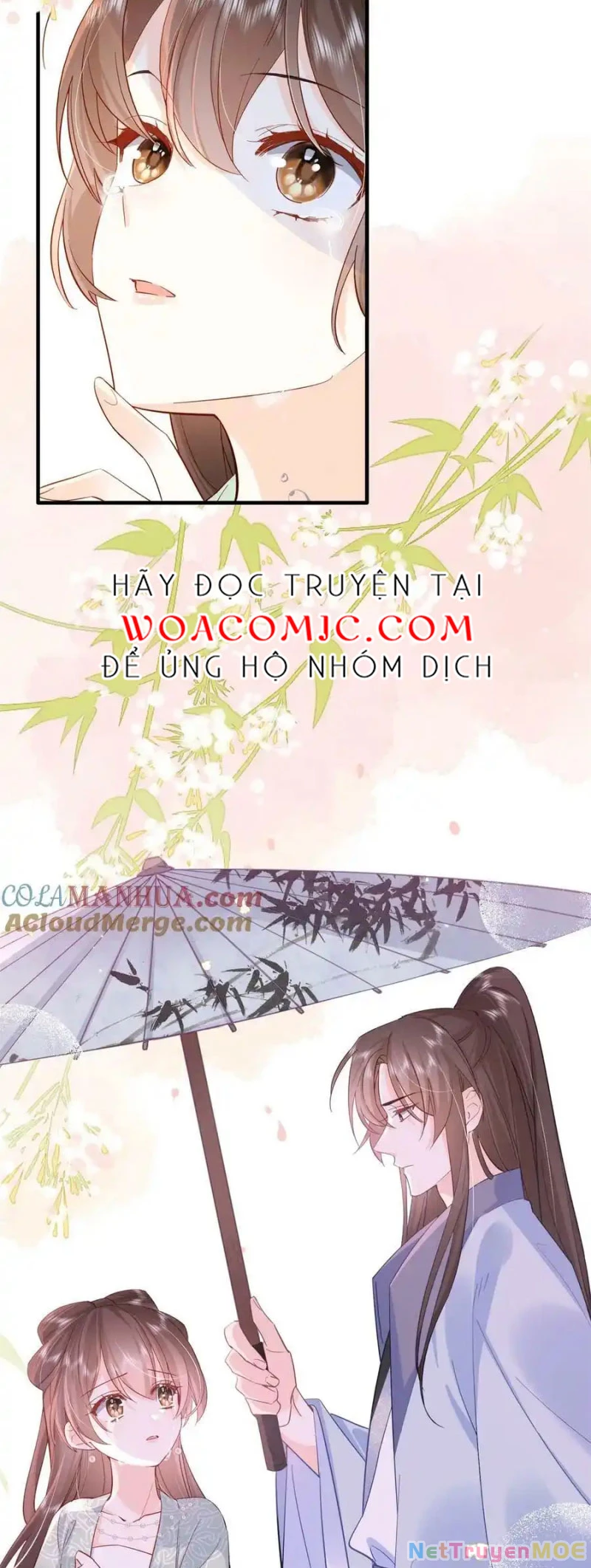 Thiều Quang Mạn Chapter 155 - 27