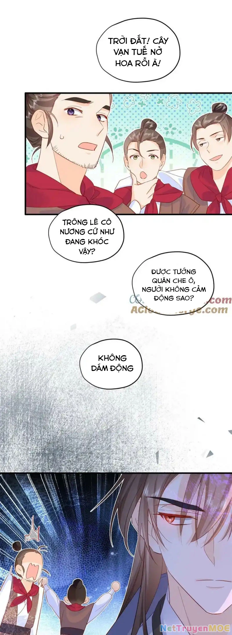 Thiều Quang Mạn Chapter 155 - 29